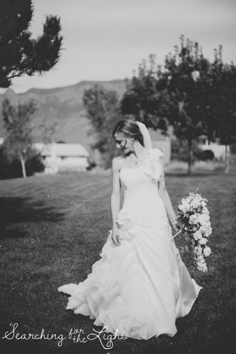 Mountain Wedding Photographer New Mexico Elopement Photographer