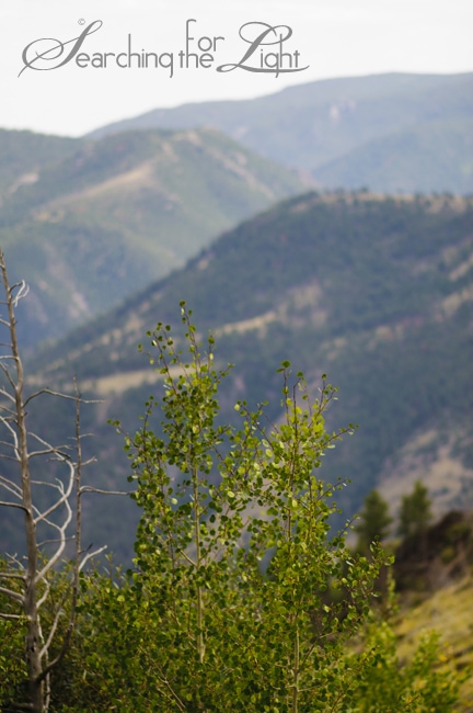 The Monastery Climbing Adventure {The Views} | Denver Photographer | Colorado Destination Wedding Photographer