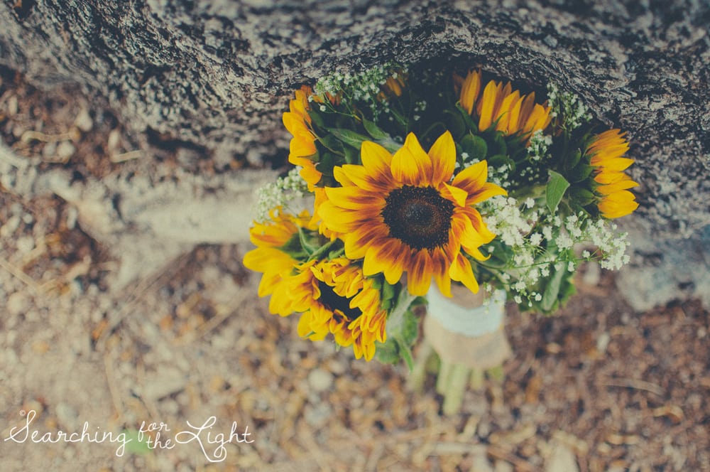 Denver Wedding Photographer Shares Destination Wedding in NM, sunflower wedding bouquet