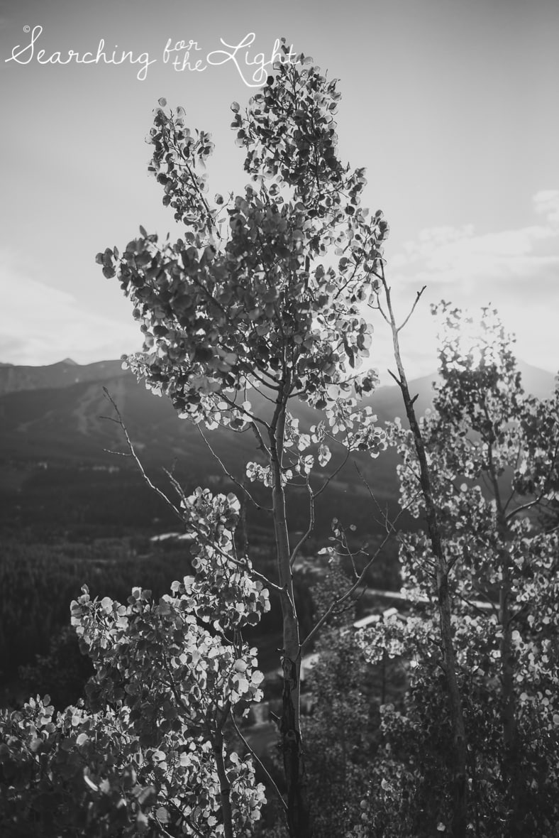 Colorado photographer, breckenridge photos in September, aspens
