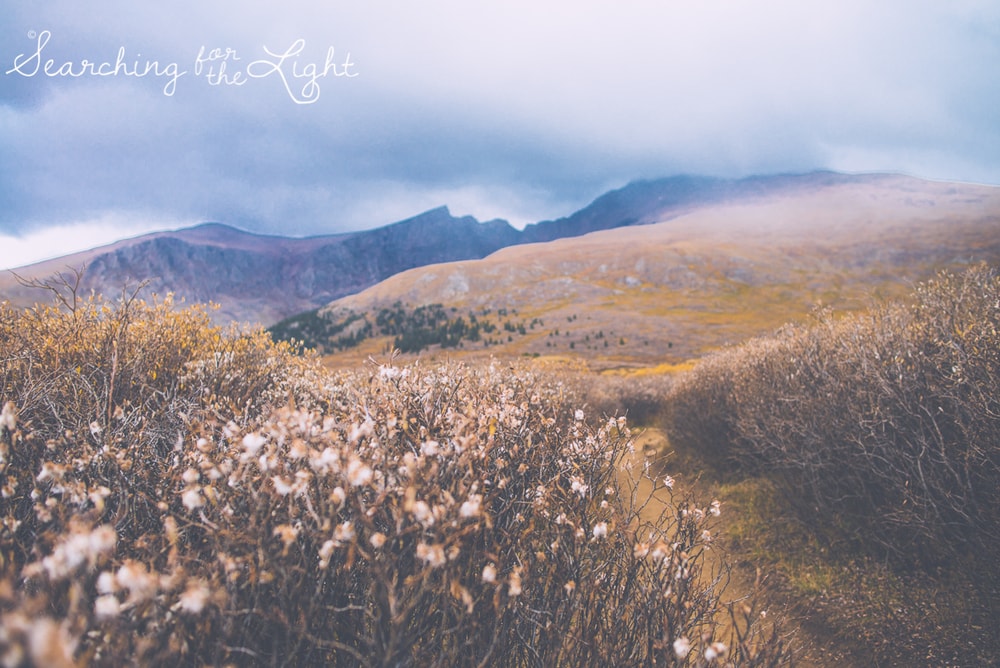 Mount Bierstadt in September on a rainy day by Denver wedding photographer