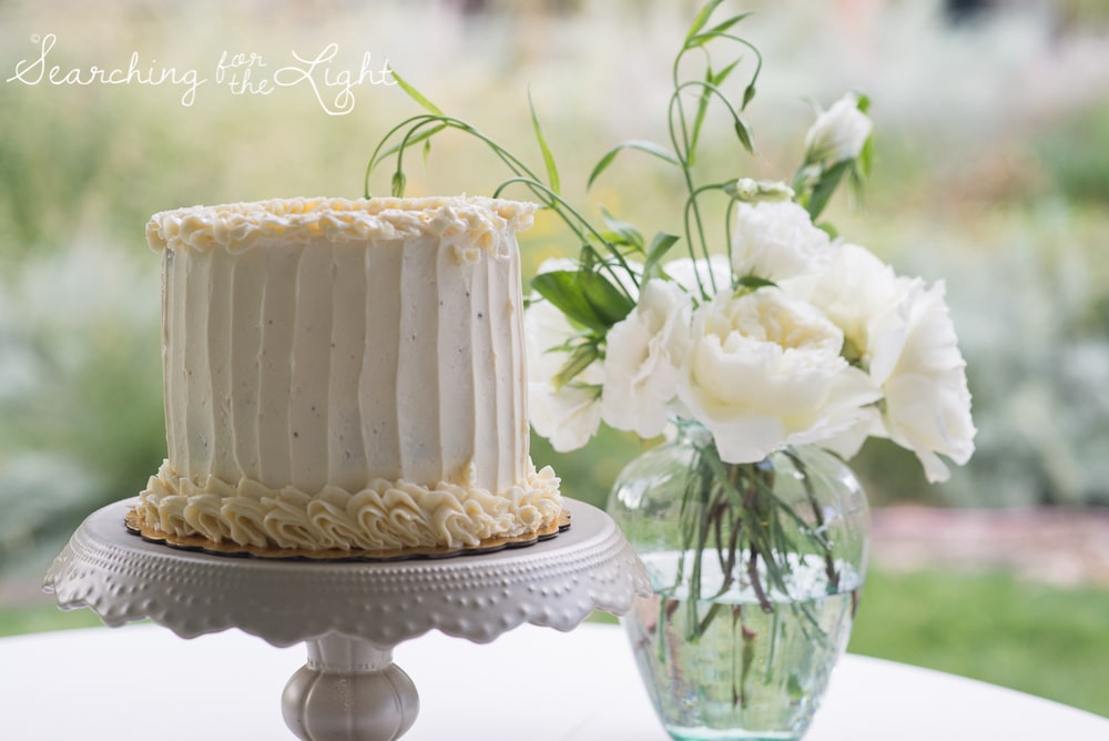 wedding cake photo denver botanical garden at chatfield, colorado wedding photographer photos