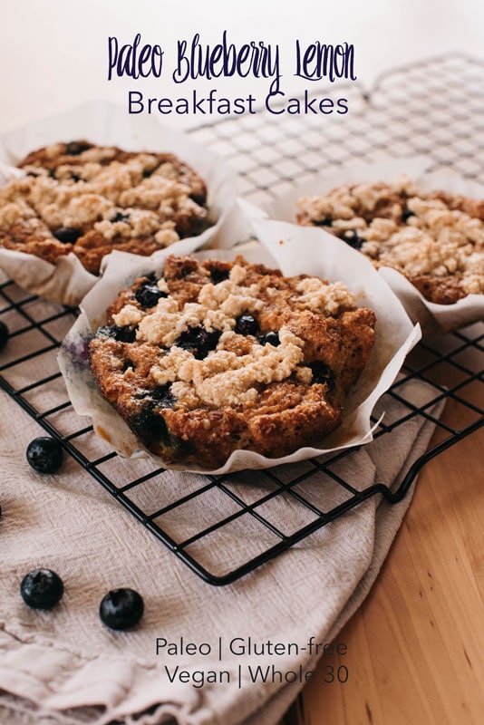 Paleo Blueberry Lemon Breakfast Cakes Recipe | Paleo, Whole 30, Gluten Free, Vegan Breakfast Idea | Denver, Mountain Colorado Photographer