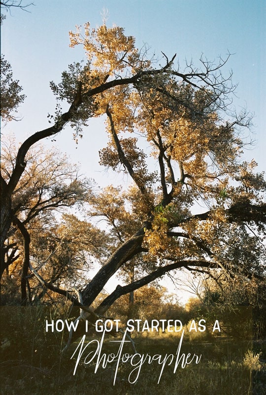 How I got started as a photographer | Denver Mountain, Colorado Family Photographer Elopement Wedding Photographer