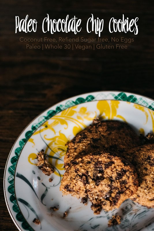 Paleo Chocolate Chip Cookie Recipe {No Sugar No Coconut No Eggs | Denver, Colorado Photographer}