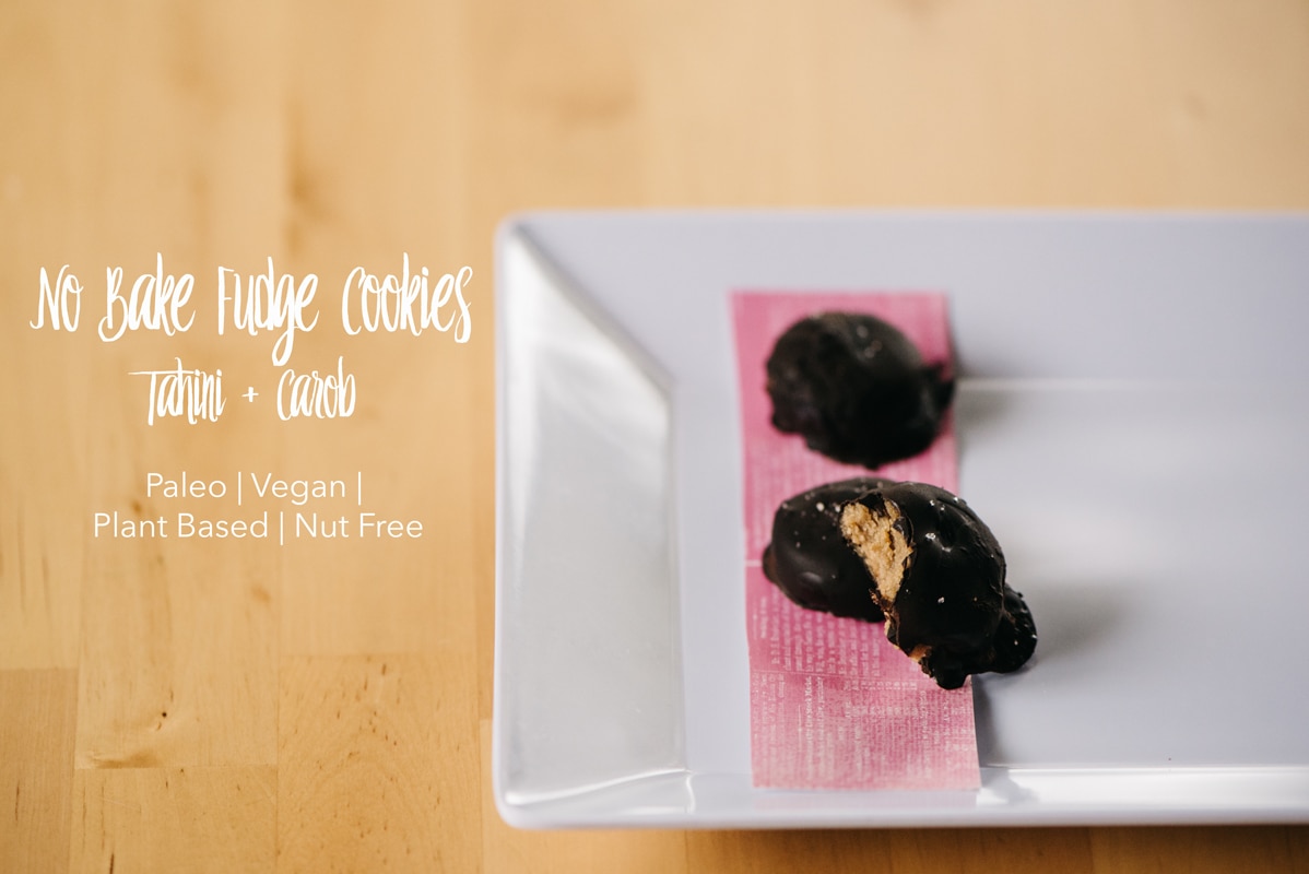 No Bake Fudge Cookies {Paleo, Vegan, Nut Free Cookies | Denver Colorado Photographer}