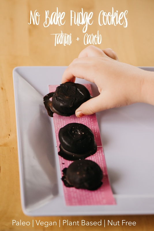No-Bake-Fudge-Cookies-Carob-Paleo-Vegan-Diet-Friendly-Tahini-Branding-Photographer-Colorado--10(Sign).jpg