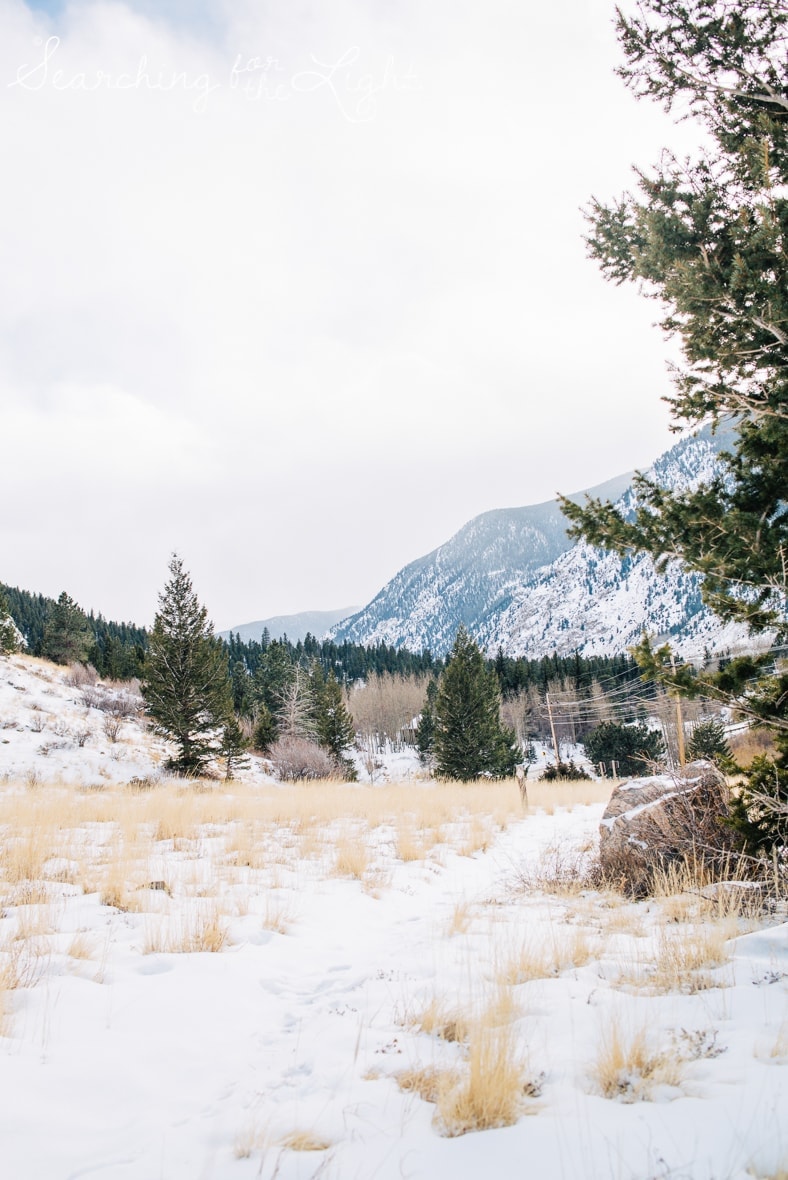 Cuddly Cute winter engagement photos in Georgetown, Colorado by a colorado wedding photographer, destination engagement photos