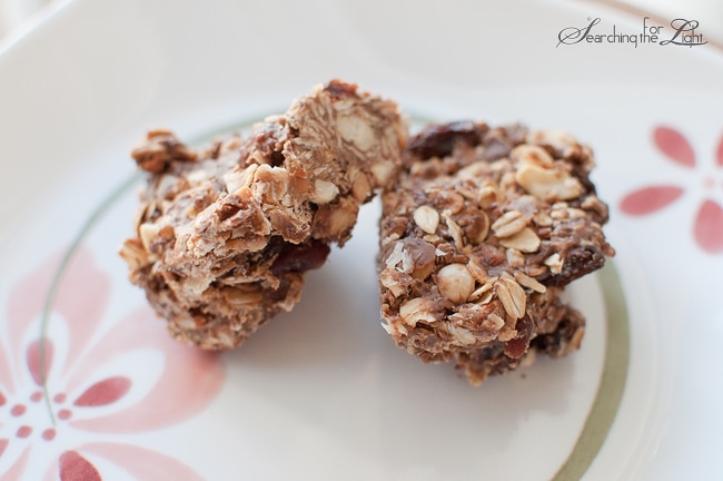 Homemade Raw Peanut Butter Chocolate Granola Bars Photo