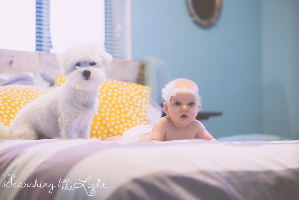 denver baby photographer, 4 month old baby photos