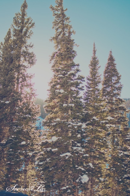 Winter Park {A Wintery Drive Day Two} | Denver Wedding Photographer | Denver Vintage Wedding Photography