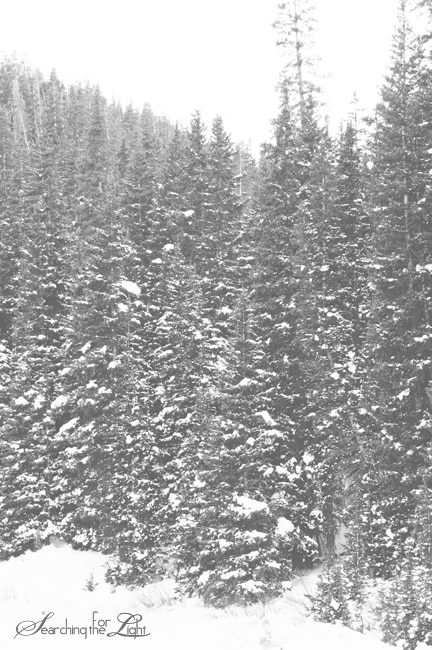 Winter Park {A Wintery Drive Day Two} | Denver Wedding Photographer | Denver Vintage Wedding Photography