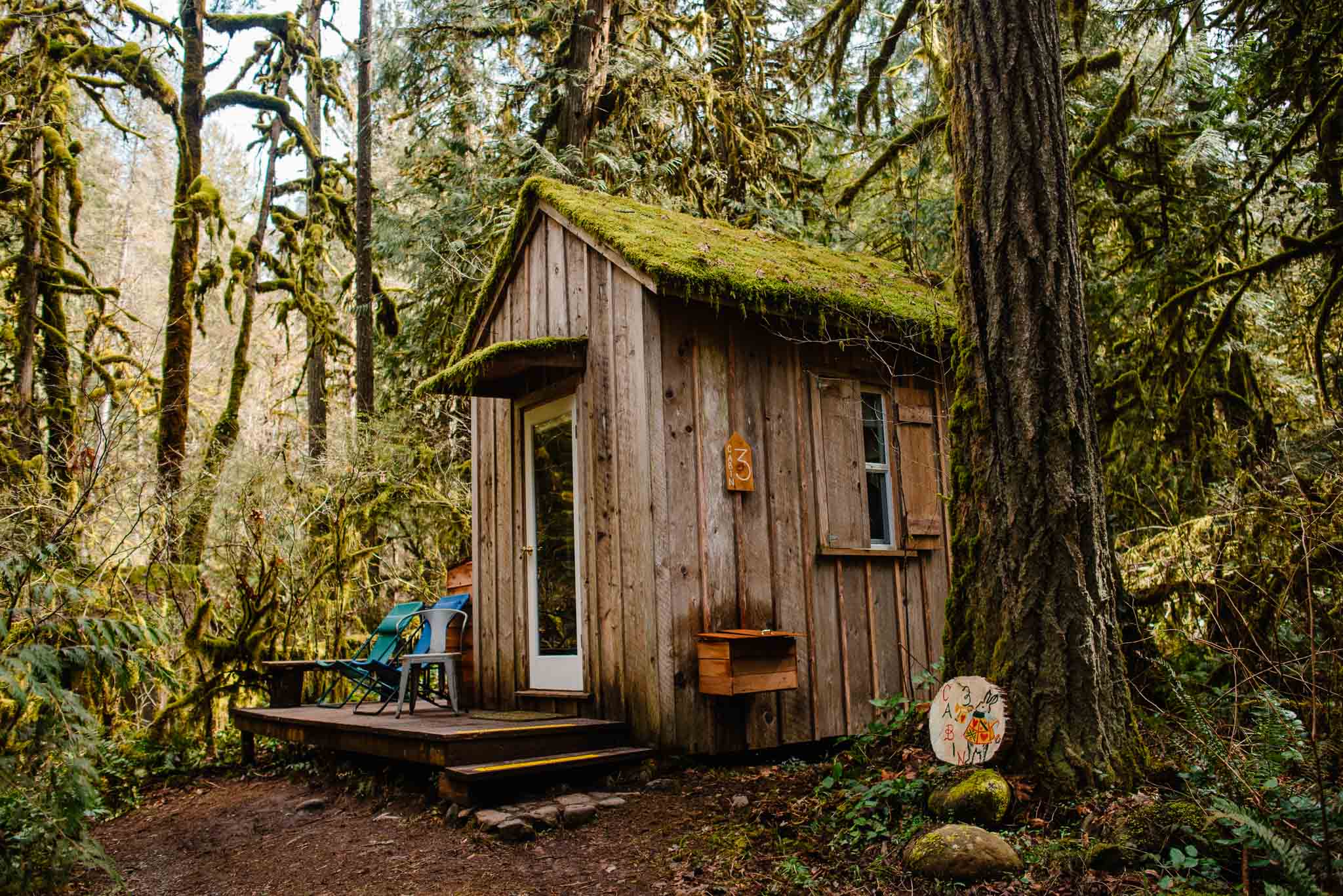 airbnb wedding venue in oregon a one bedroom tiny home lodge in a forest