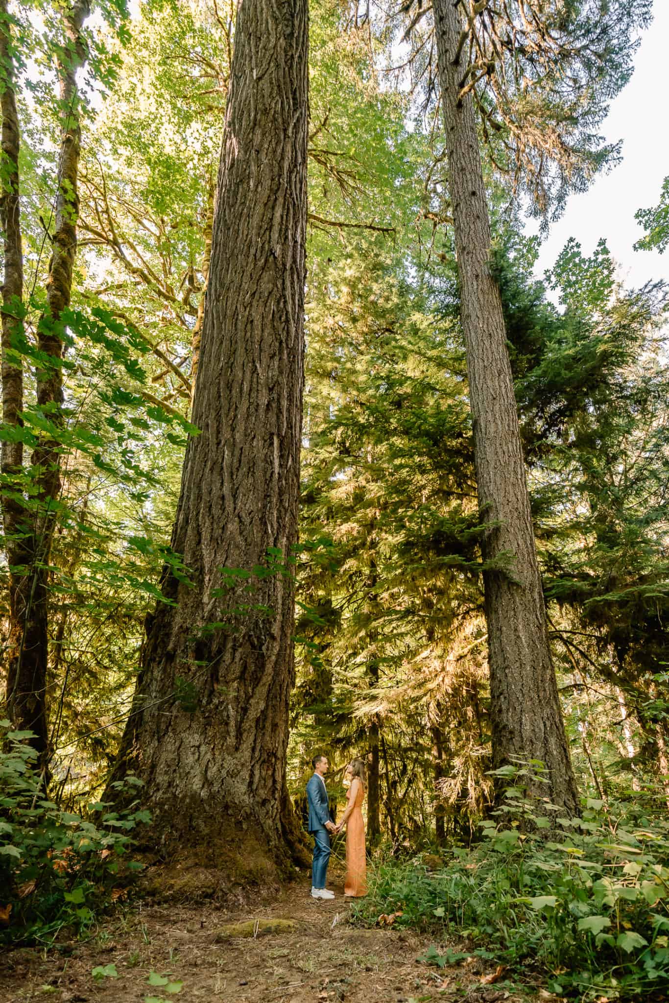 Couple embraces under giant trees, making this best places to elope in Oregon