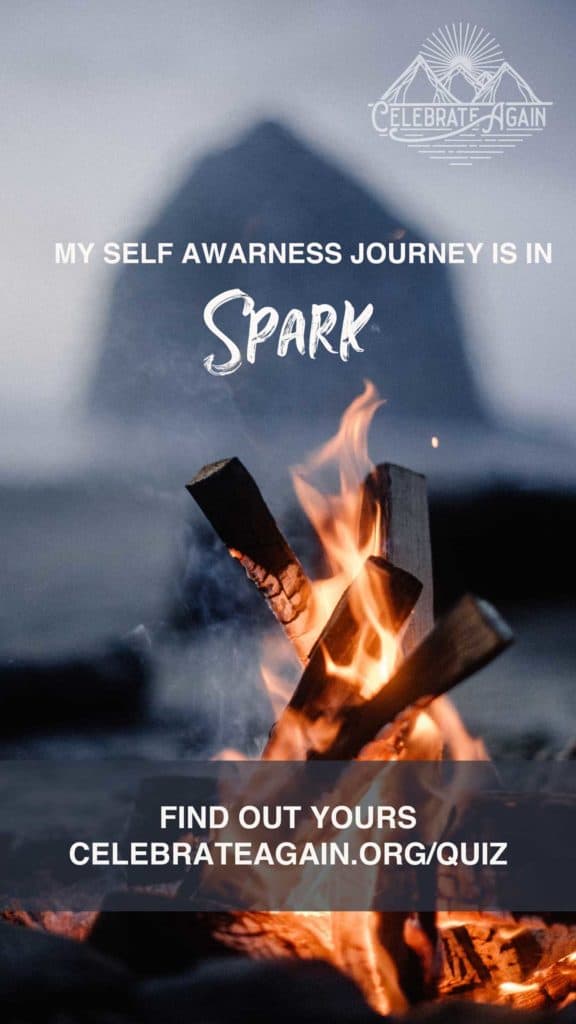 "my self awareness journe is in spark. find out yours at celebrateagain.org/quiz" fire starting with a sea rock in the background