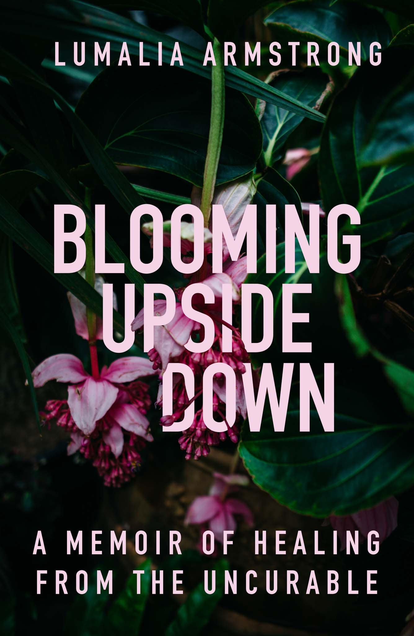 "blooming upside down by Lumalia Armstrong A memoir of healing from the uncurable." over a photo of a pink flower blooming upside down