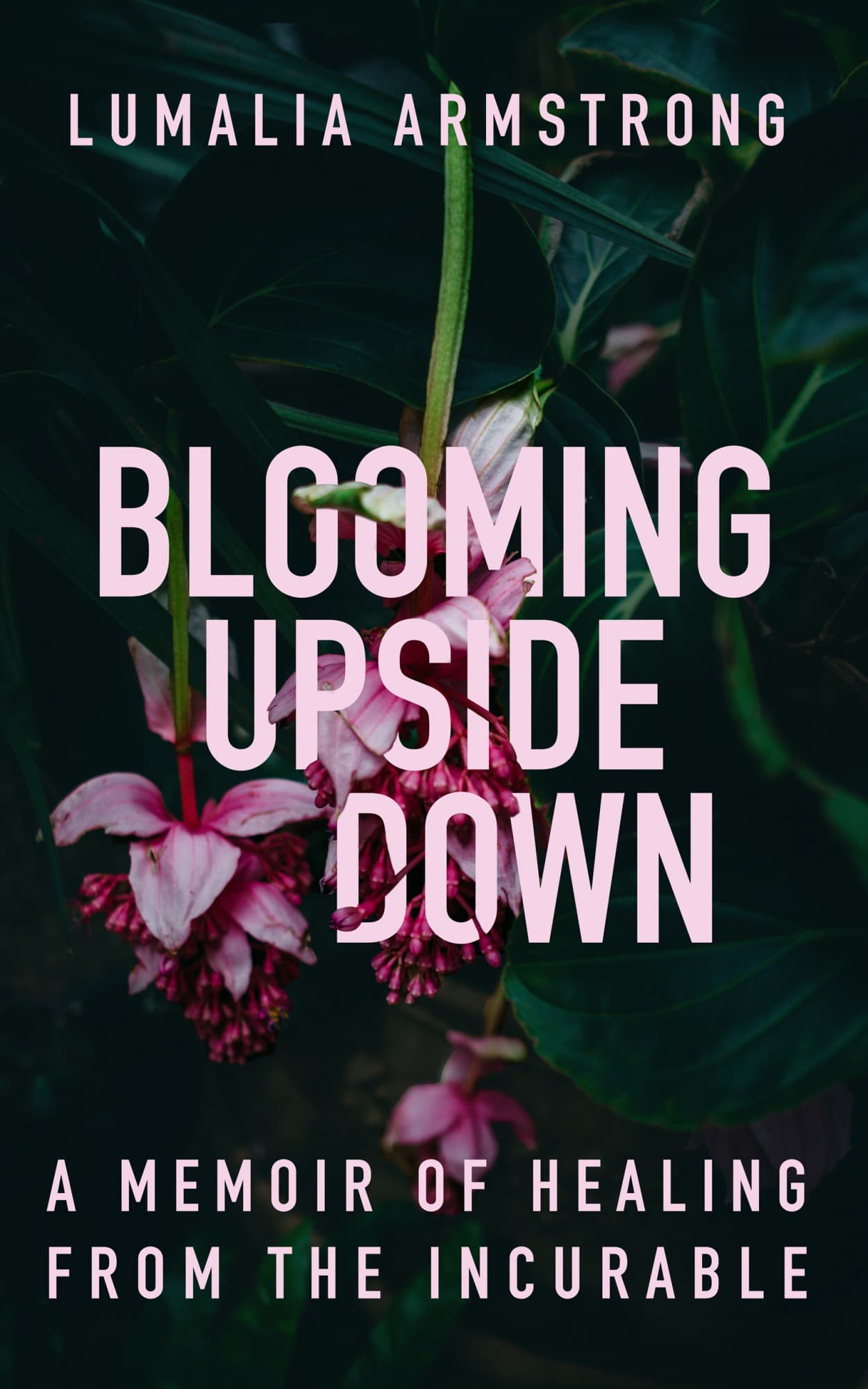 "Blooming Upside Down by Lumalia Armstrong A Memoir of Healing from the Incurable" book cover of a pink neon flower interlacing the title