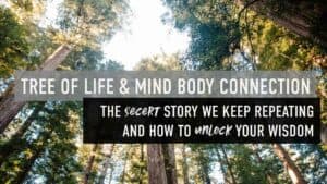 tree of life and mind body connection the secert story we keep repeating and how to unlock your wisdom over image of trees
