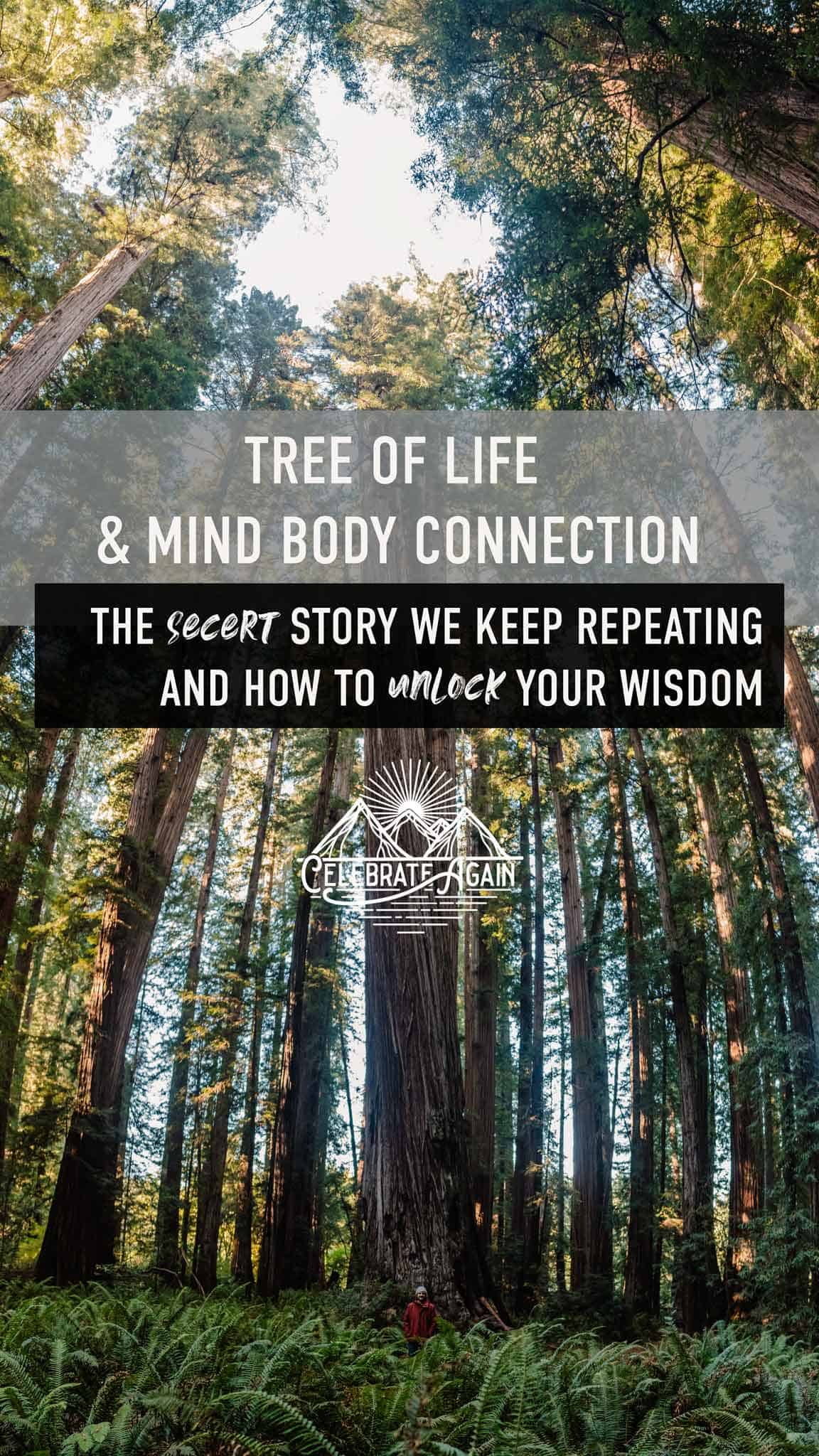tree of life and mind body connection the secert story we keep repeating and how to unlock your wisdom over image of trees