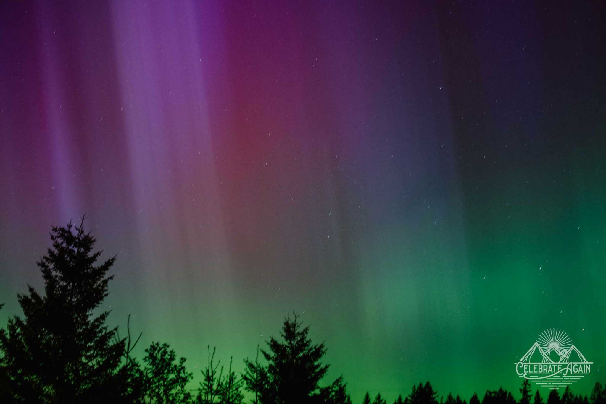 northern lights in Oregon May 2024 aurora borealis in Oregon by Lumalia Armstrong with rays of magenta in the left corner fading into blues and greens with shadows of evergreens
