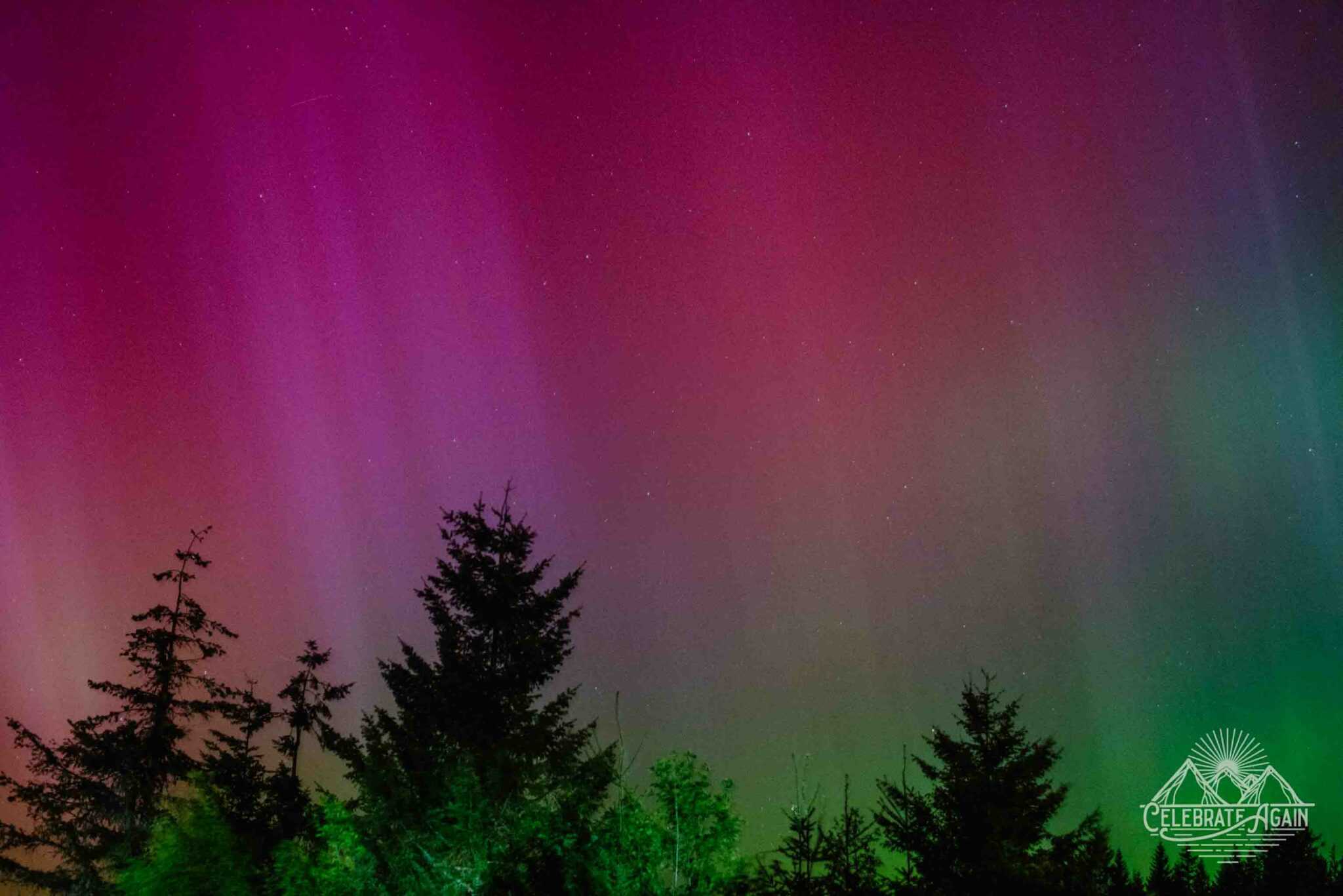 northern lights in Oregon May 2024 aurora borealis in Oregon by Lumalia Armstrong with rays of magenta in the left corner fading into greens with shadows of evergreens