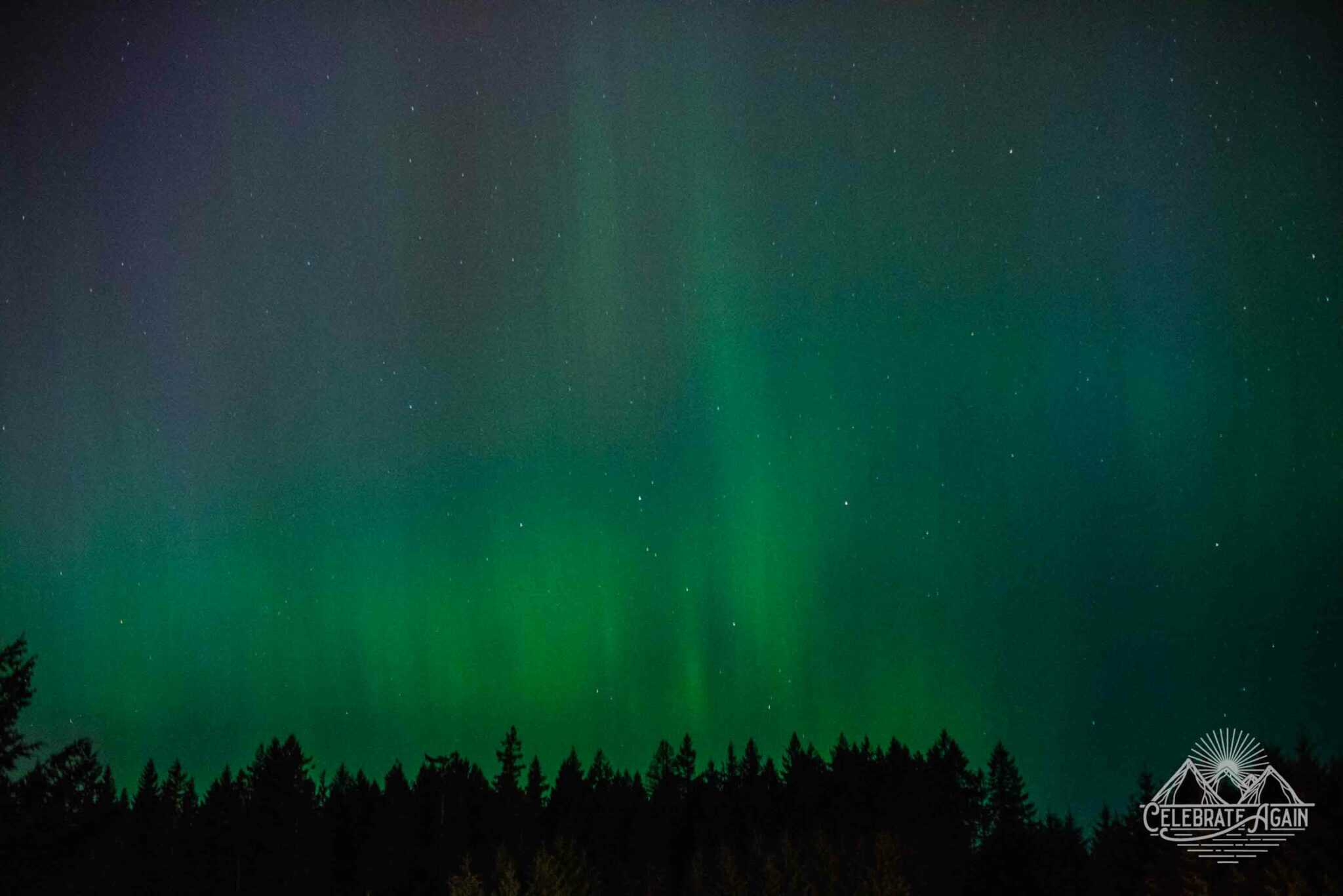 northern lights in Oregon May 2024 aurora borealis in Oregon by Lumalia Armstrong with lines of green streeks and blue