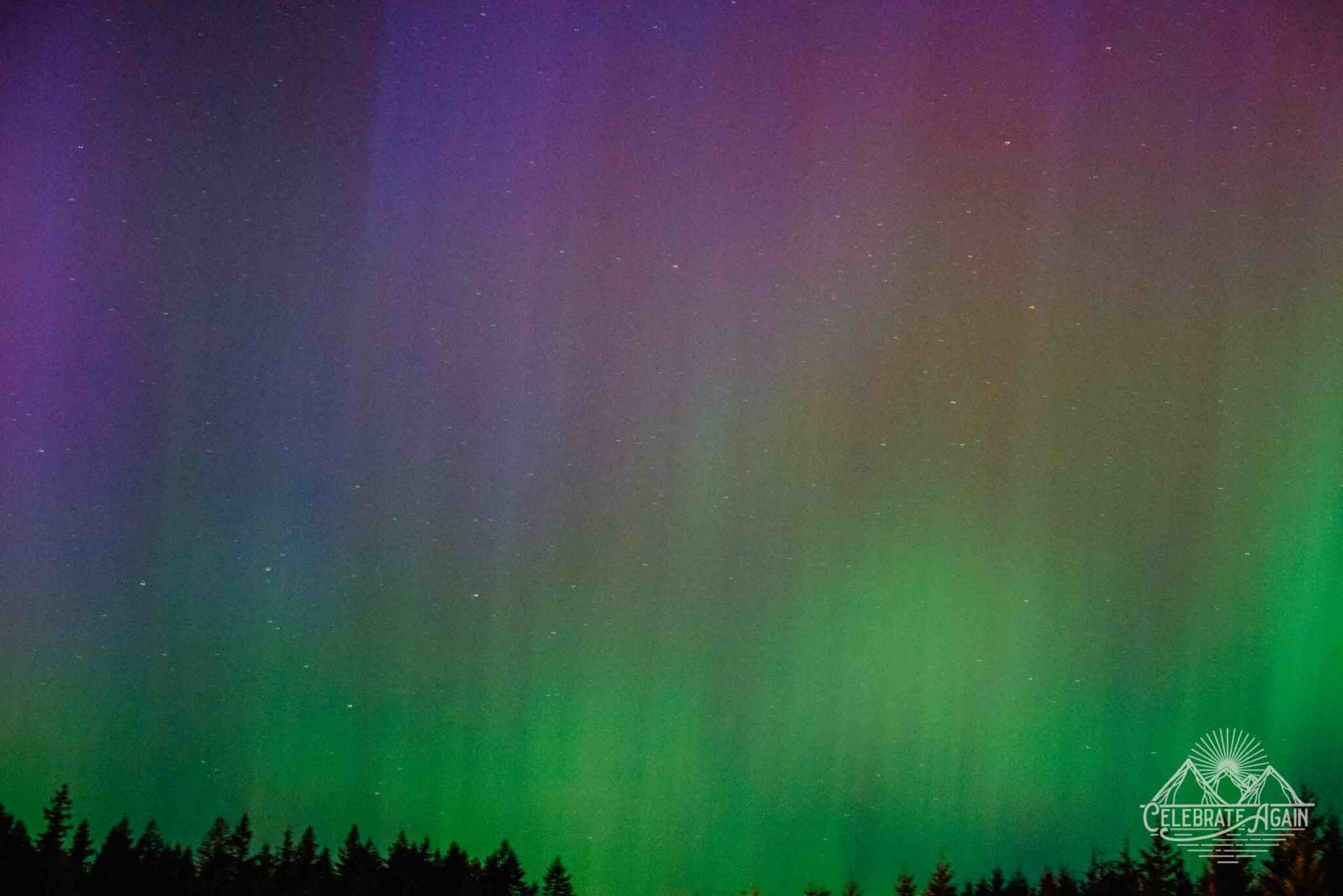northern lights in Oregon May 2024 aurora borealis in Oregon by Lumalia Armstrong with rays of purple in the left corner fading into greens with shadows of evergreens