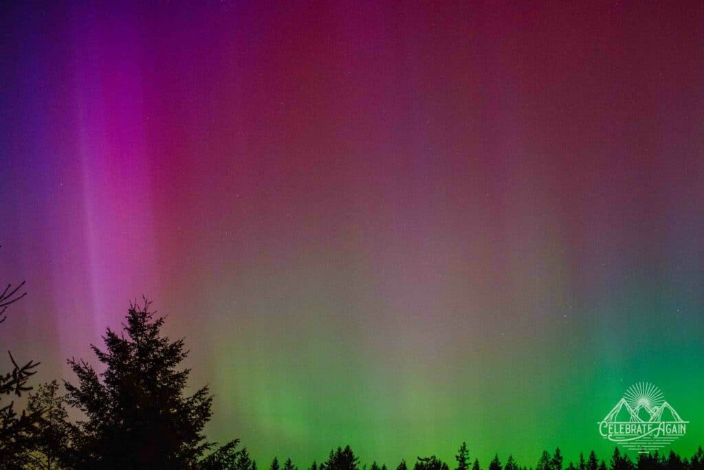 northern lights in Oregon May 2024 aurora borealis in Oregon by Lumalia Armstrong with rays of magenta in the left corner fading into greens with shadows of evergreens