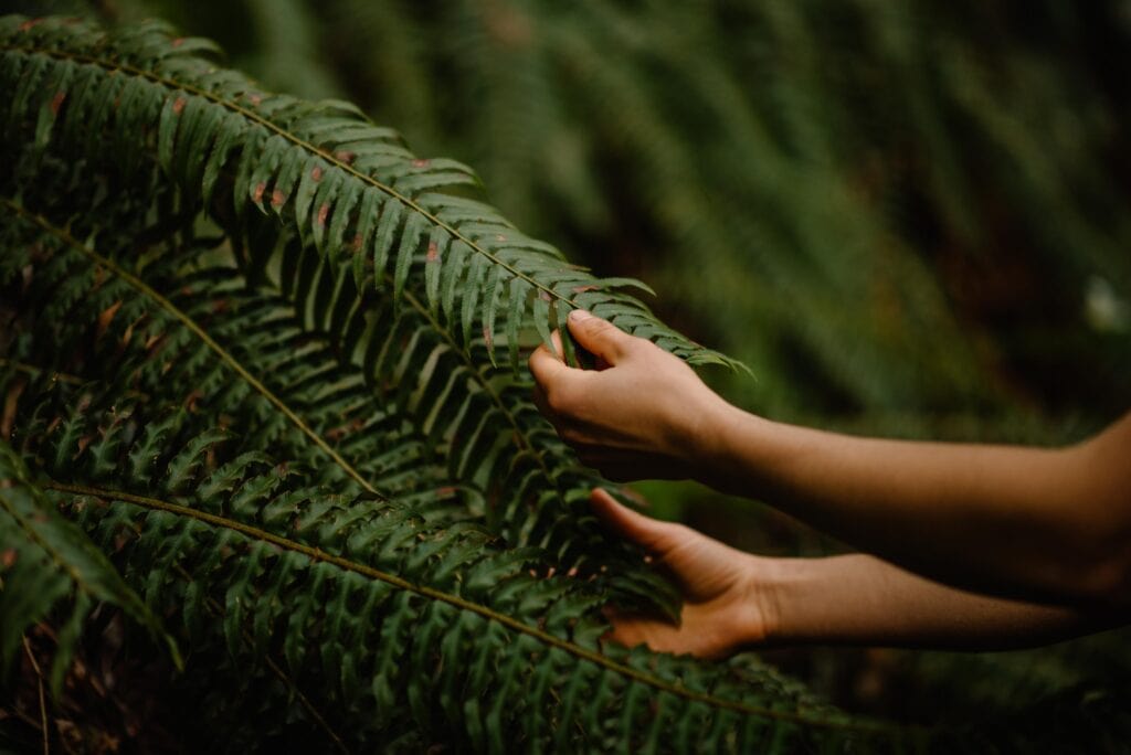 womens wellness experience female touching a fern gently at a women's retreat in Oregon