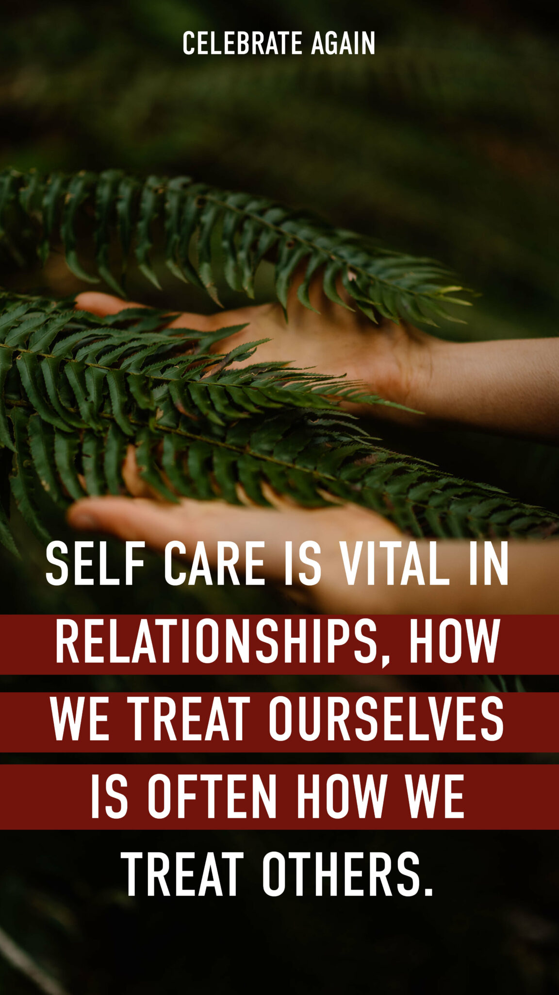 "Self care is vital in relationships, how we treat ourselves is often how we treat others." person touching fern