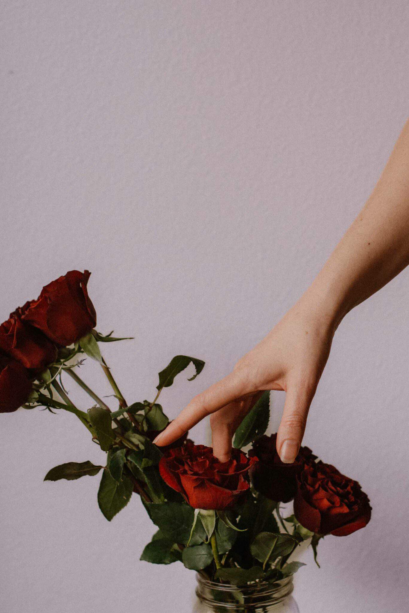 hands pressing in roses