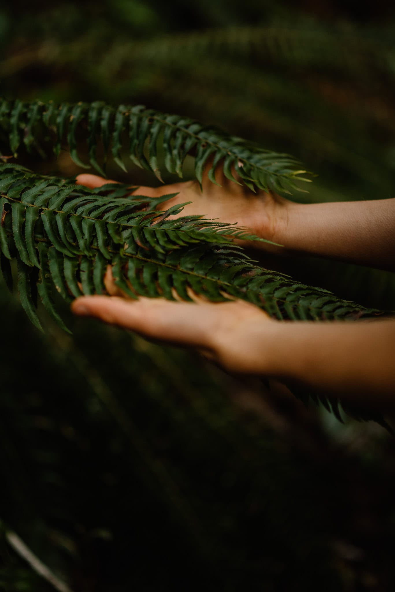 hands touching gently a fern during an empowerement photography session