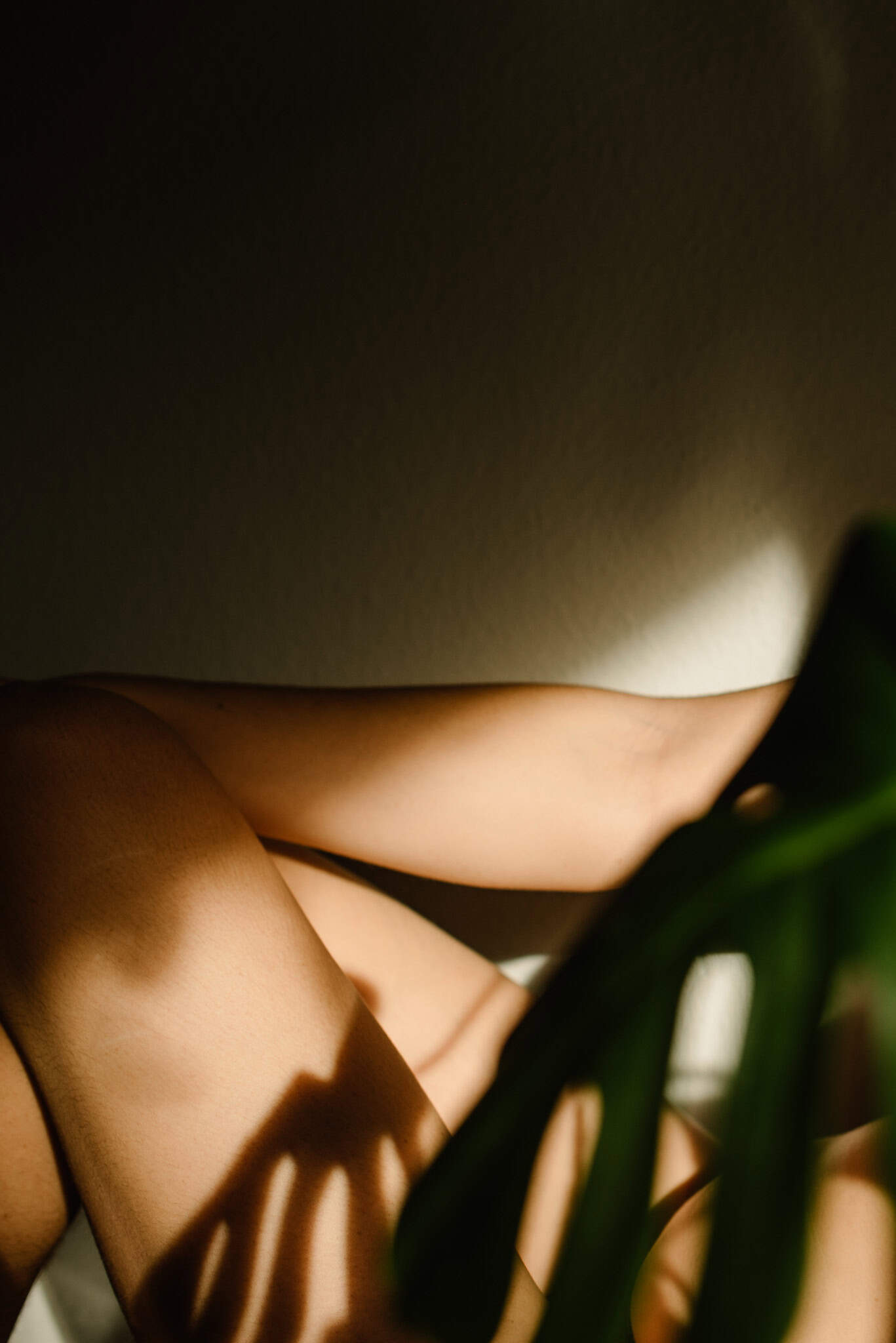 skin in the shadows framed by a plant during a boudoir photography session in Portland Oregon