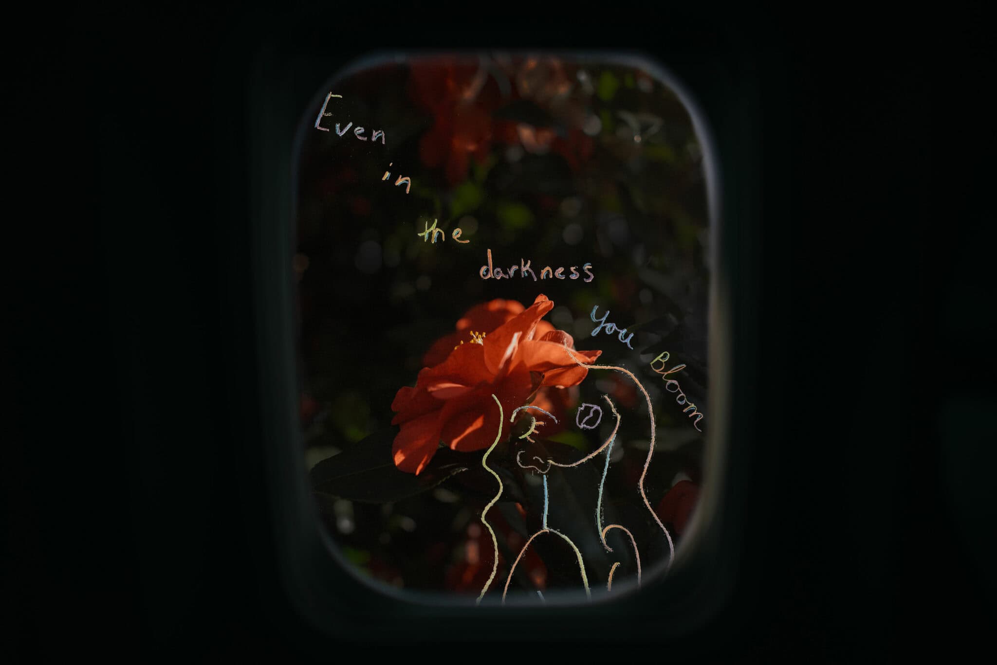 artwork with a cmaellia flower even in the darkenss you were made to be here