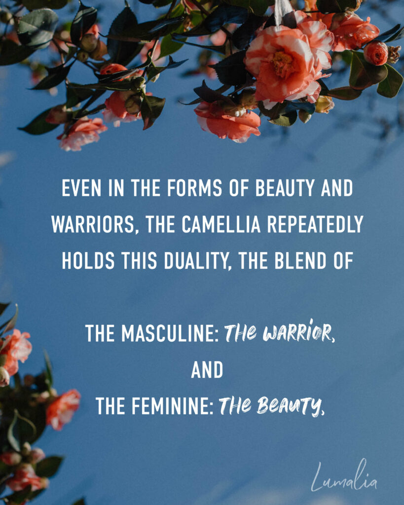 "Even in the forms of beauty and warriors, the camellia repeatedly holds this duality, the blend of the masculine, the warrior, and the feminine, the beauty," camellia flowers symbolism and spiritual meanings text over image of Camellia flowers