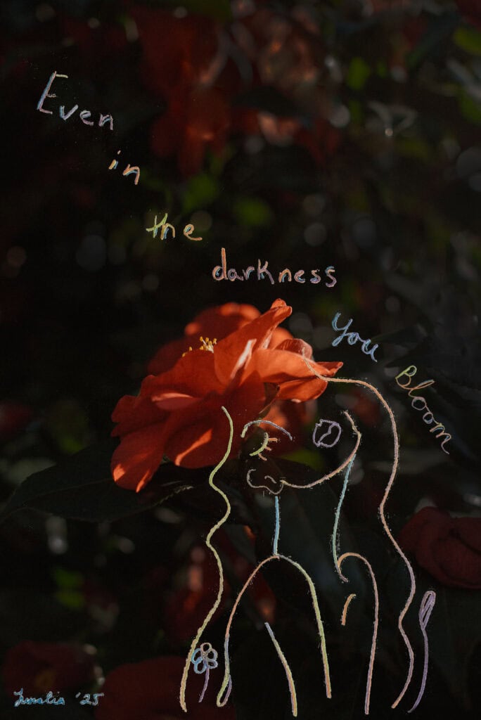 Camellia flower symbolism meaning with drawing and text "even in the darkness you bloom" by Lumalia Copyright 2025