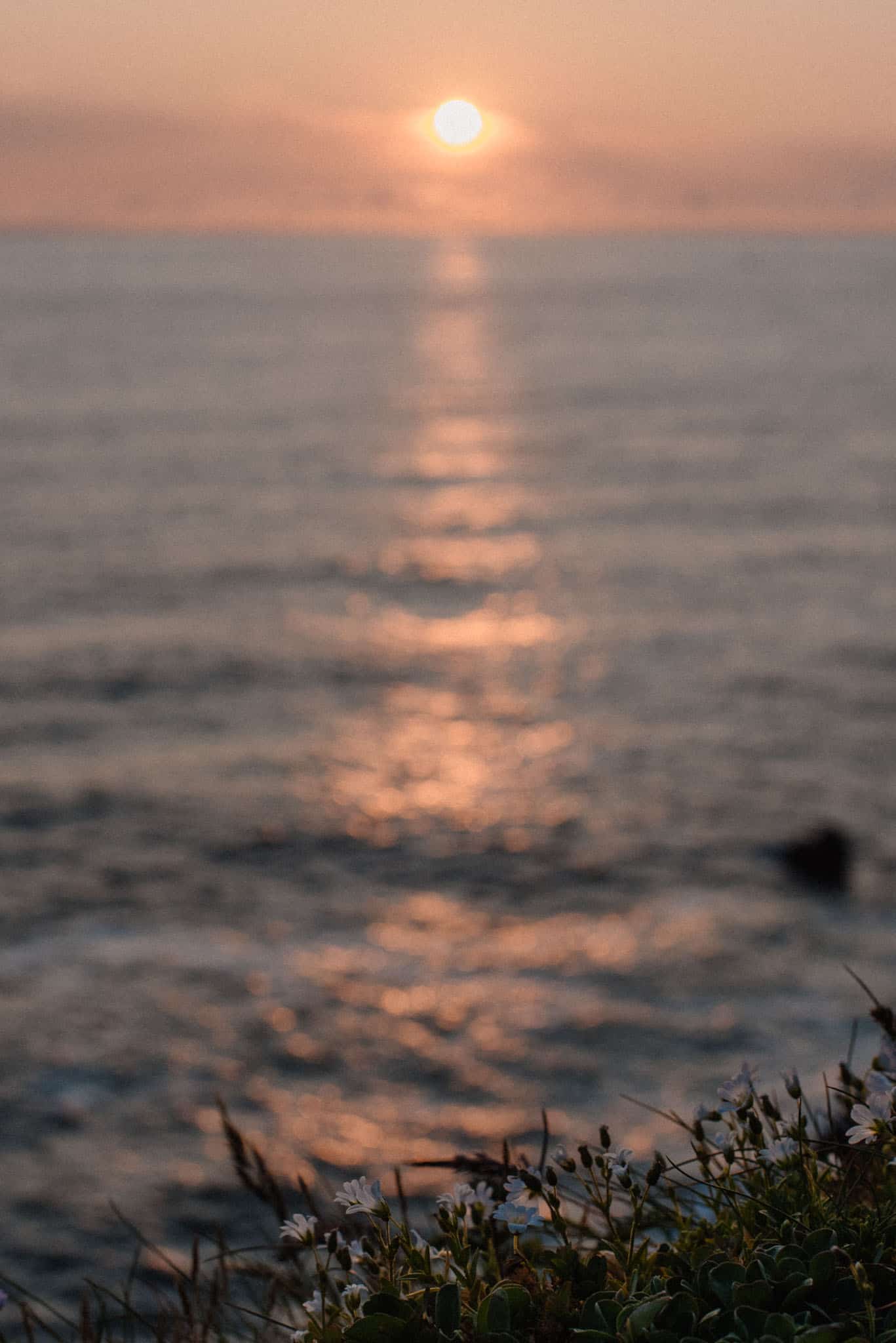 sun reflecting on the ocean a good symbol a plot twist