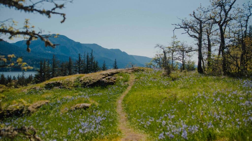view of a camas field and mountains