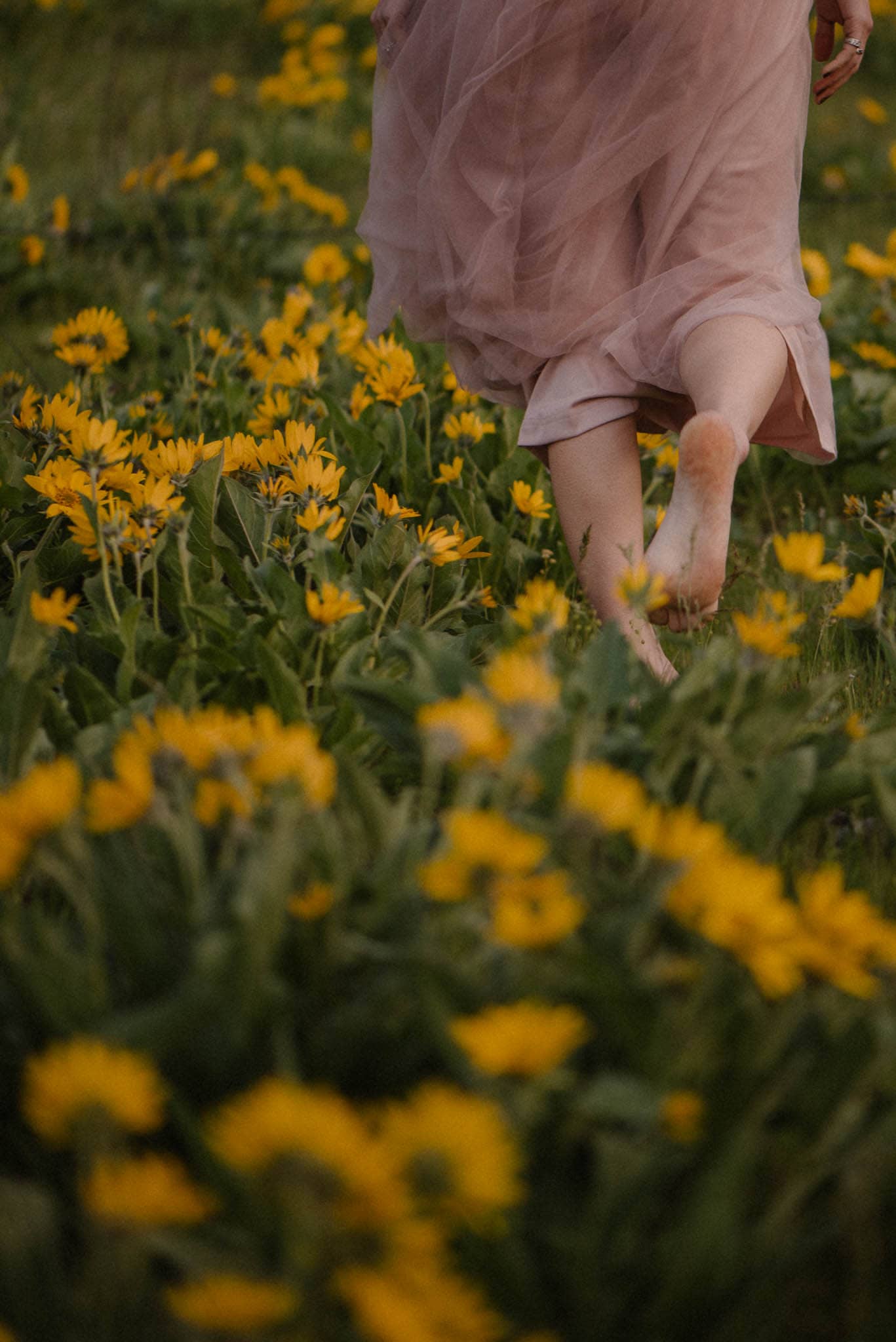 woman walking barefoot in the wild flower field
