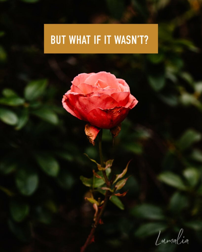 "but what if it wasn't" a rose near a bush From Roses to Mary Magdalene: The Secret of Everyday Awe