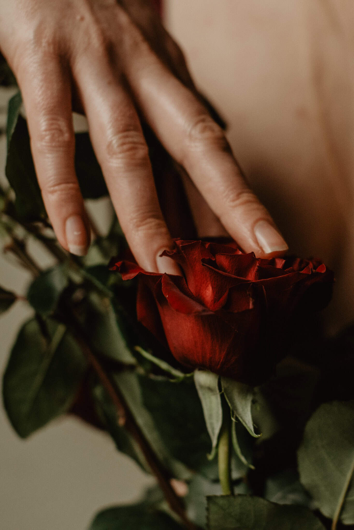 hand touchign roses flirting with the void