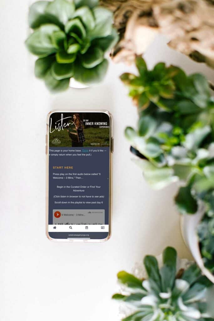 30 day meditation challenge portal view inside a phone near plants