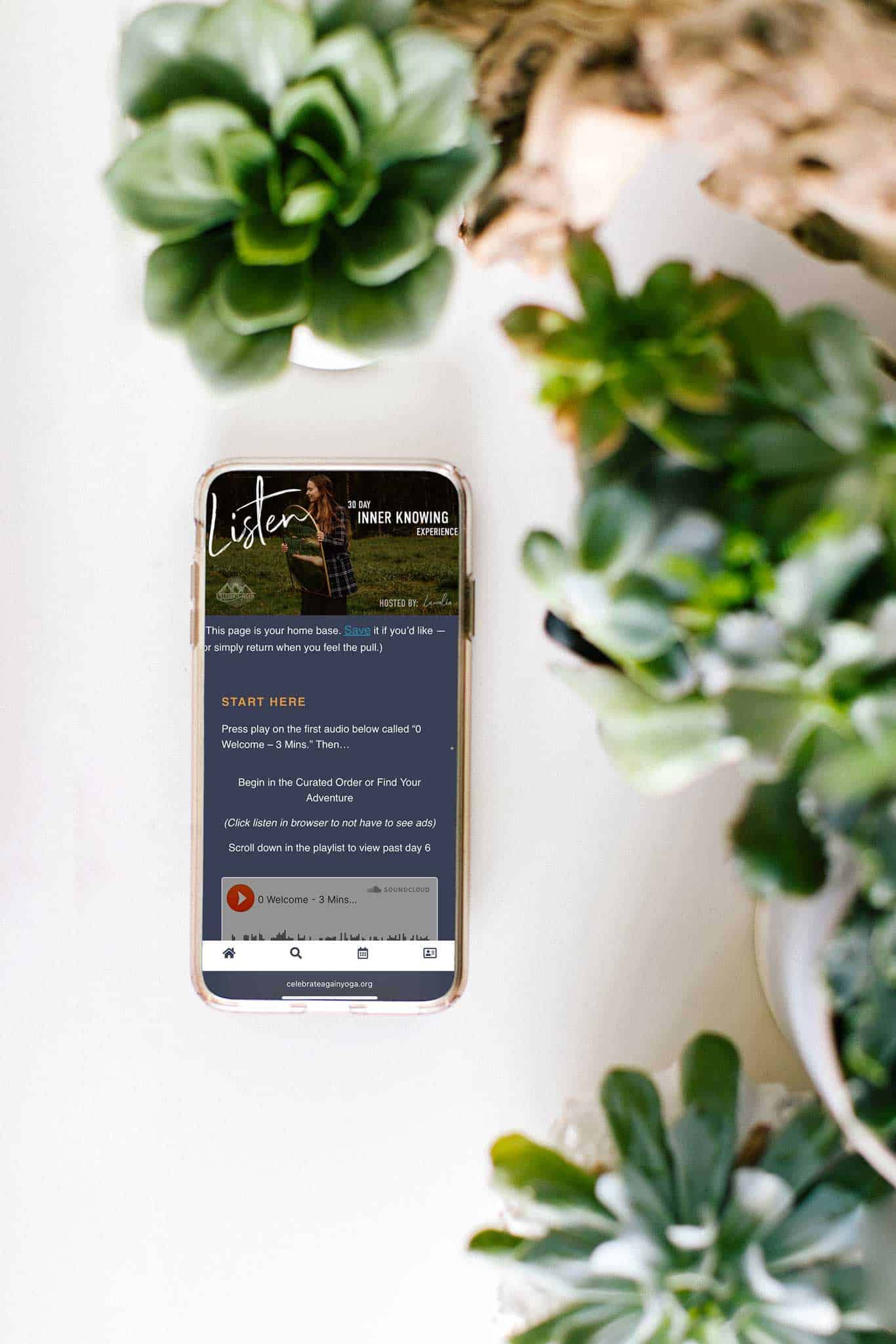 30 day meditation challenge portal view inside a phone near plants