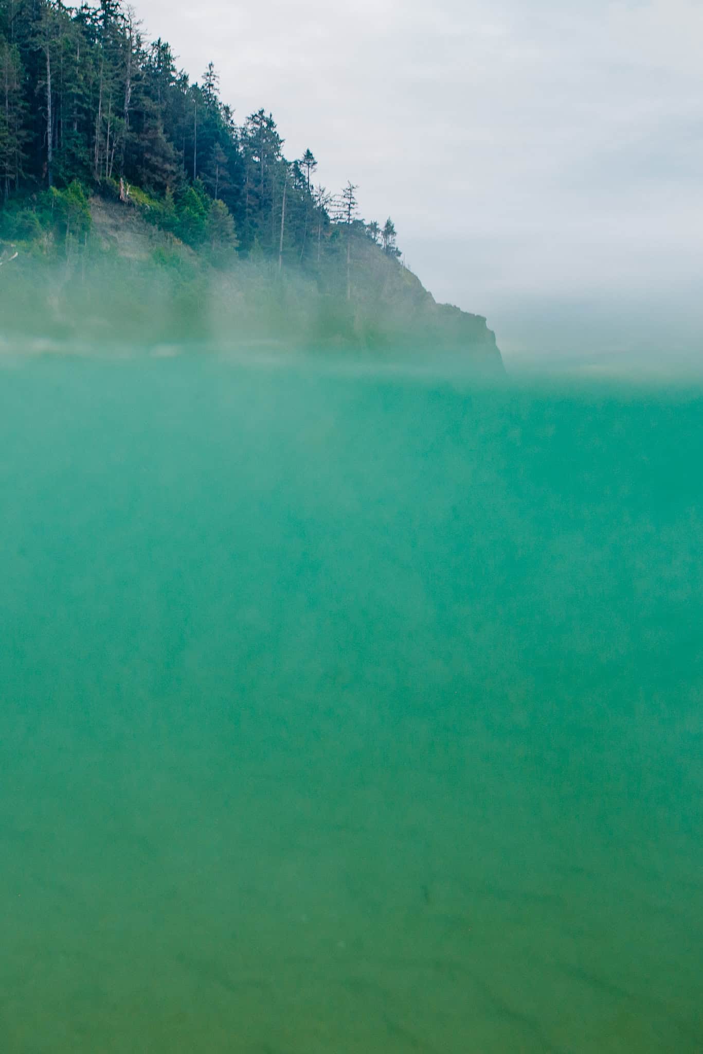 submerged in water photography by Lumalia