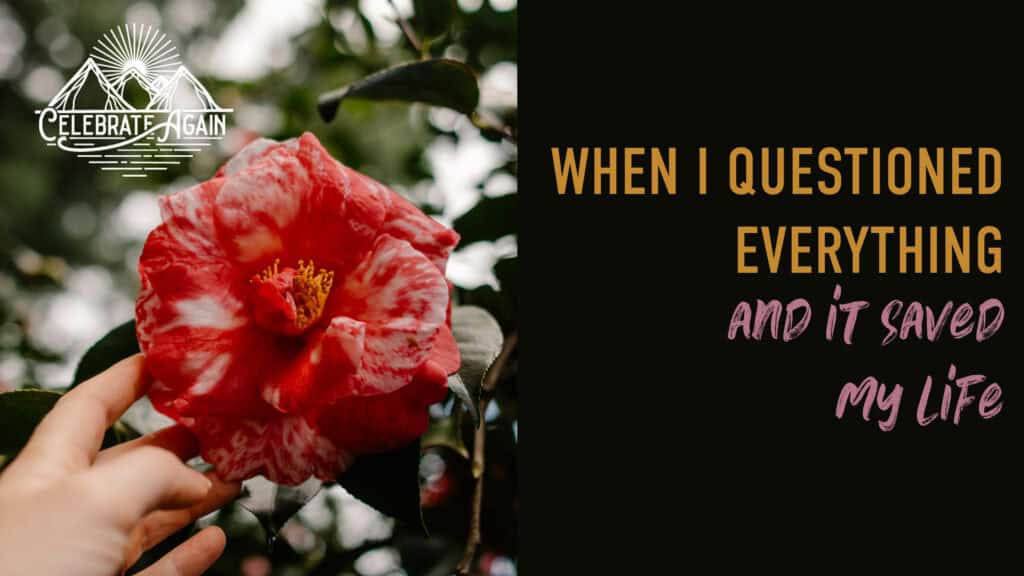 when you question everything with a camellia flower Lumalia is touching