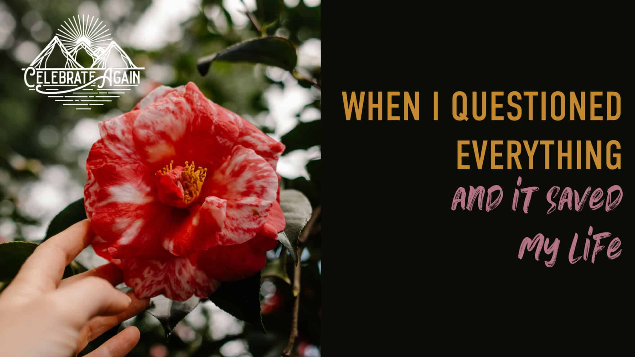 when you question everything with a camellia flower Lumalia is touching