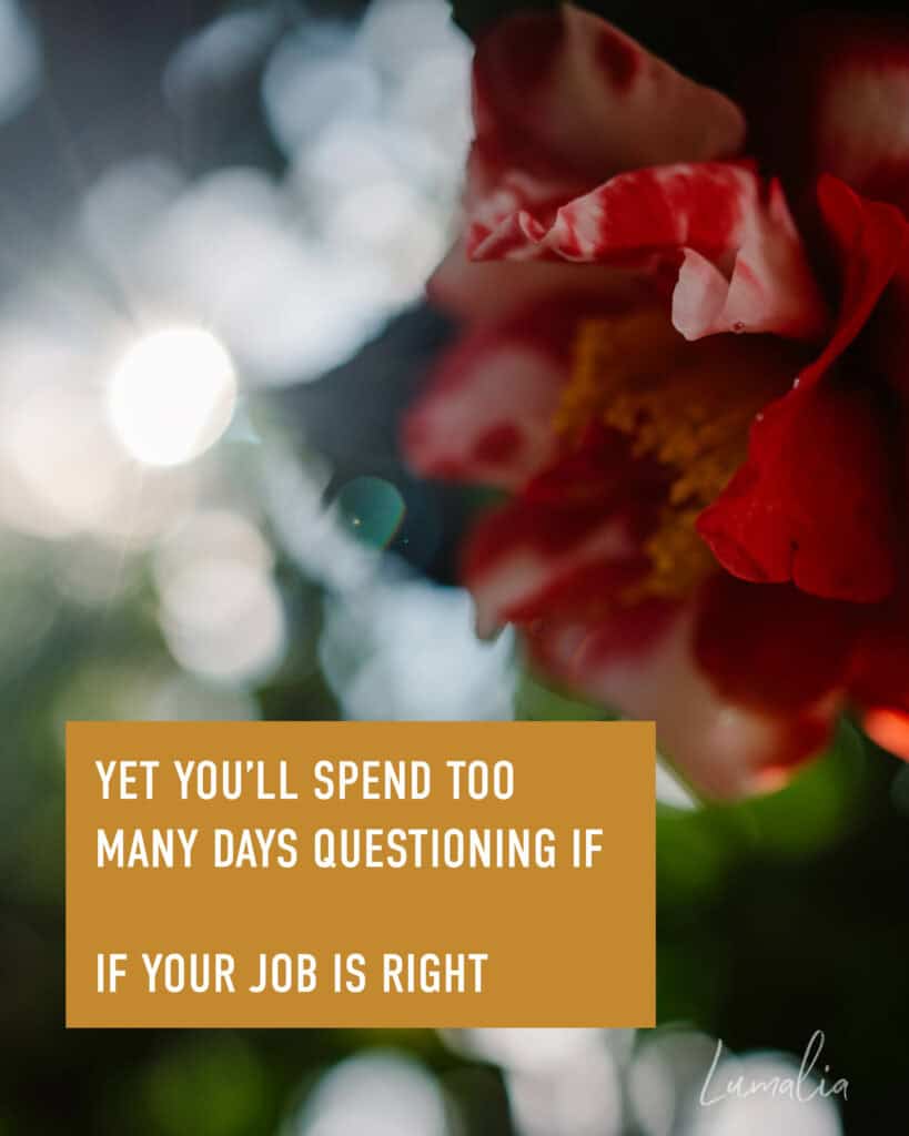 a camellia flower Lumalia photographed while quesitoning everything that says "It’s why you married the love of your life when it didn’t make any sense. Divorced for two seconds..."