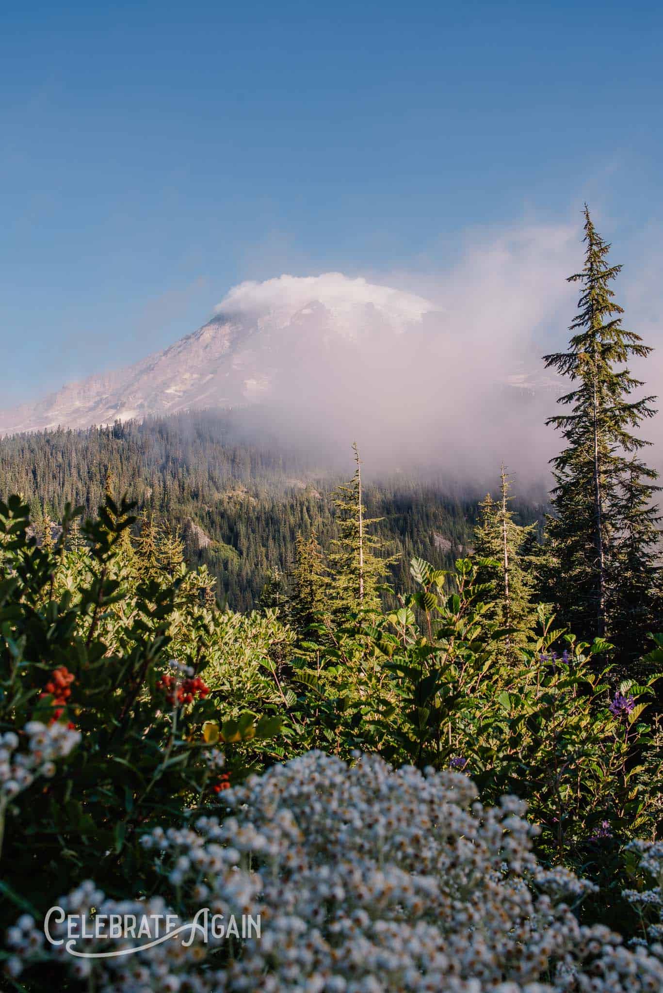 nature landscape mountain with and wild flowers running through for poem about grief, longing and depression